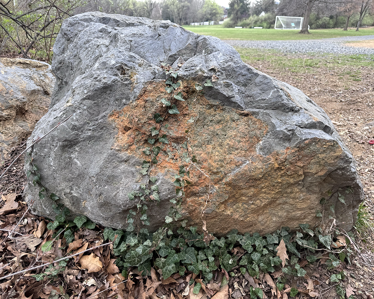 Close-up sample of rock texture